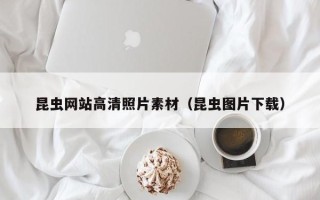 广安昆虫网站高清照片素材（昆虫图片下载）